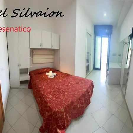 Silvaion