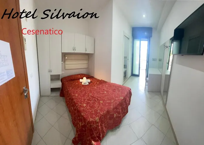 Silvaion